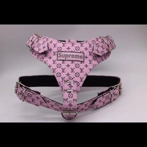 Dog harness + leash